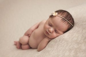barrington newborn photographer