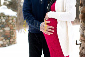 Lake Zurich, IL maternity photographer