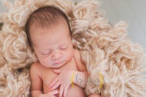 Lake County newborn photographer
