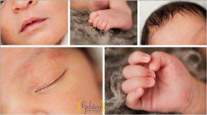 Buffalo Grove Photographer