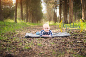 Deer-Park-Photography