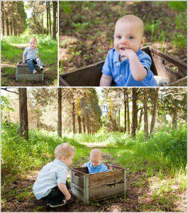 Extended family photographer Lake County