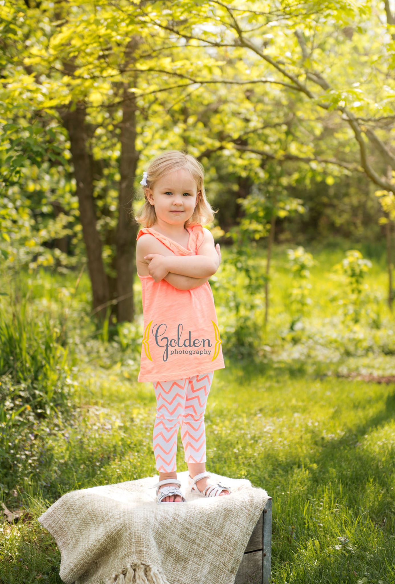 Lake Zurich IL child photographer