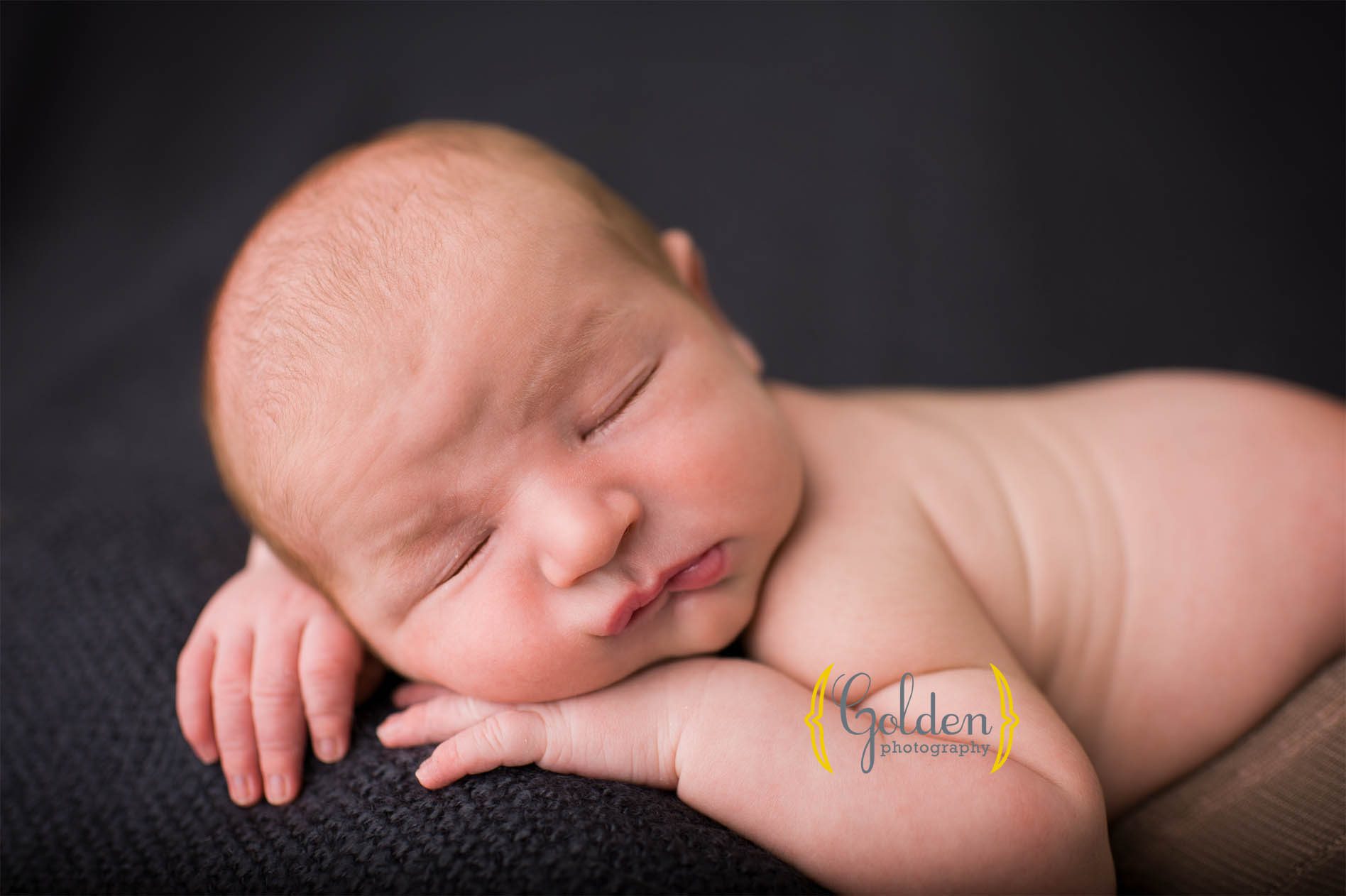 hawthorn woods newborn photographer copy