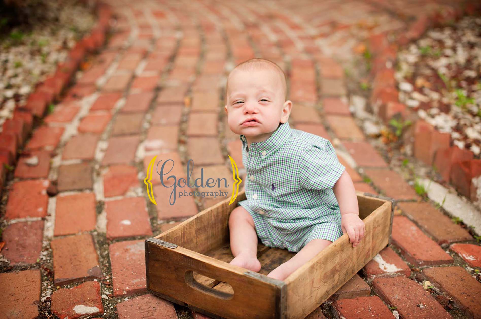 lake zurich child photographer