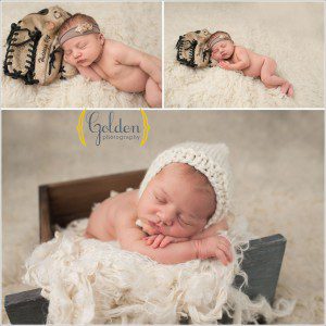 Barrington newbon photography studio