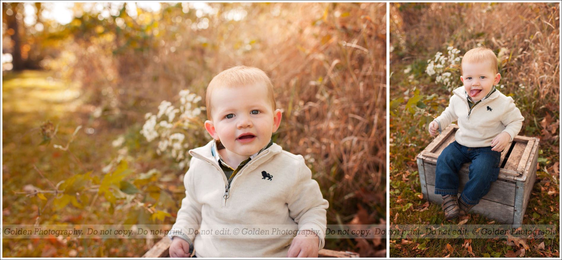 Chicago area cake smash