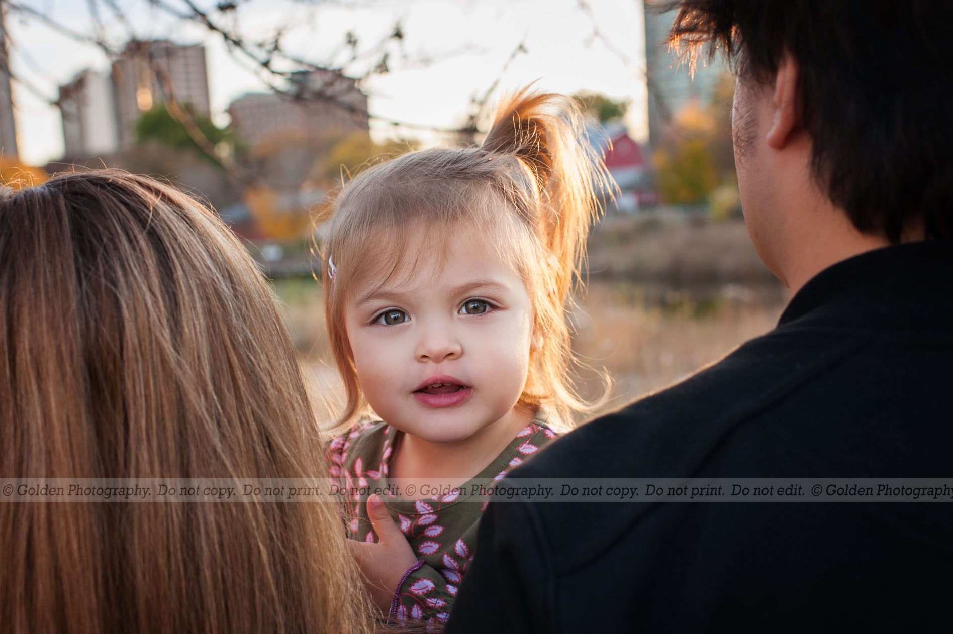 lincoln park zoo Chicago family photographer
