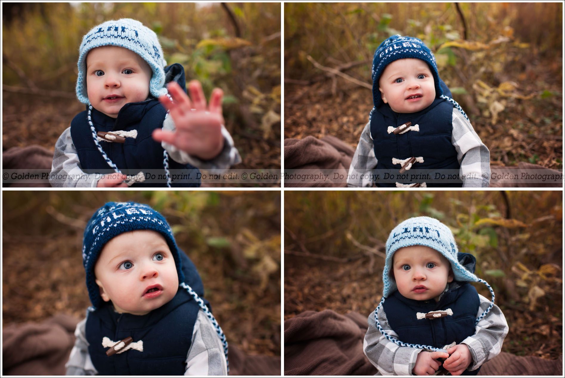 Kildeer photographer