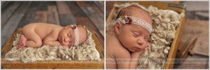 Barrington IL newborn photographer