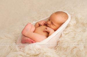 Chicago northwest suburbs photographer