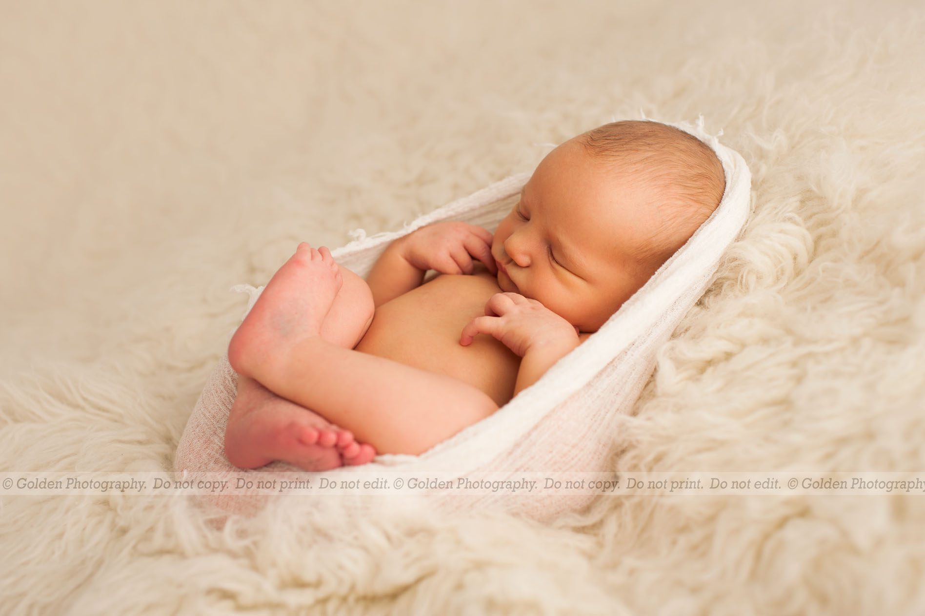 Chicago northwest suburbs photographer