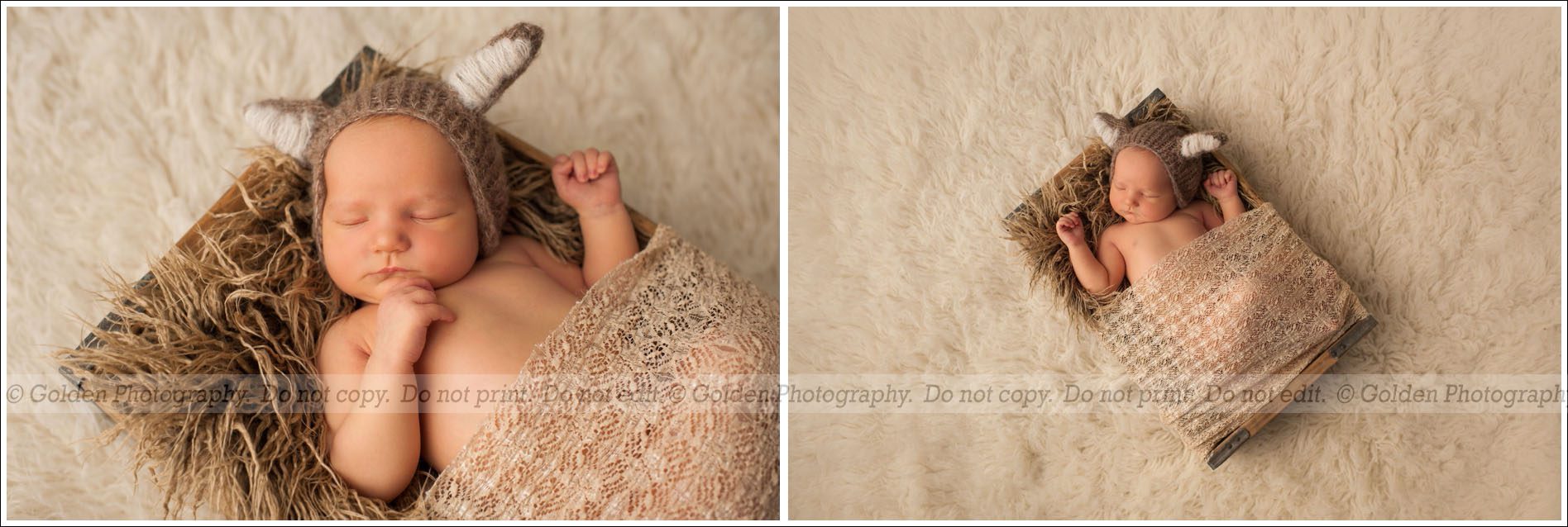 Lake County newborn photographer