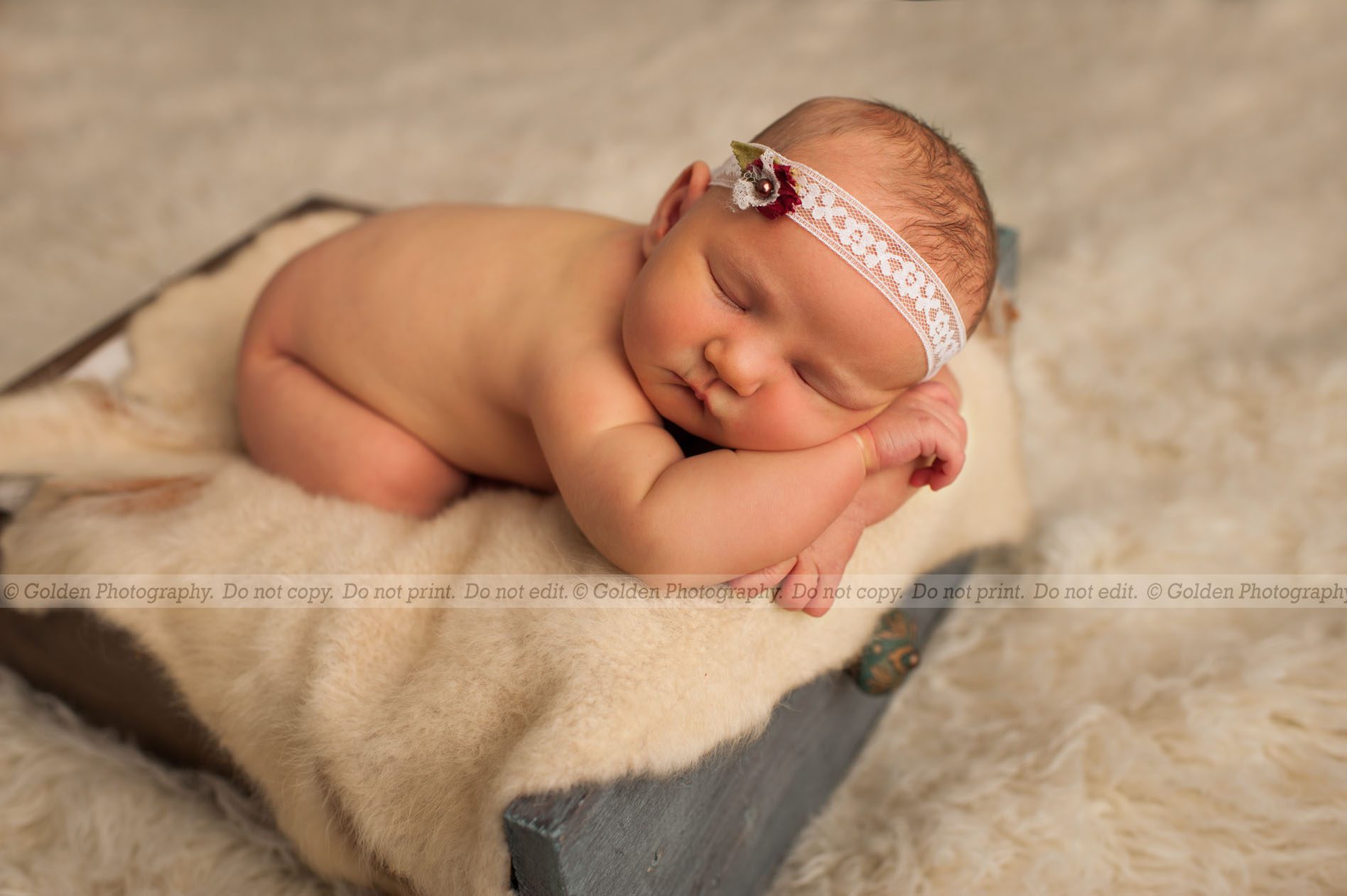 Lake Zurich newborn photographer
