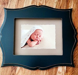 Lake County IL photographer