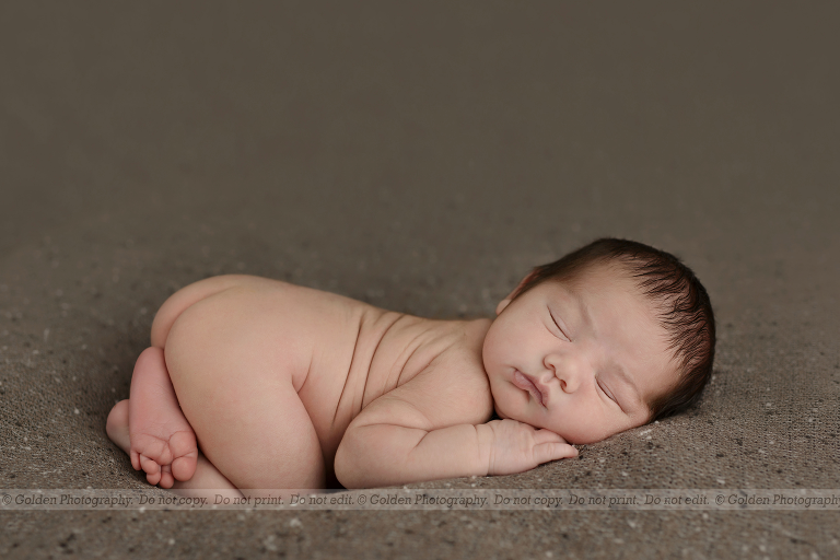 Best newborn photographer lake county, IL