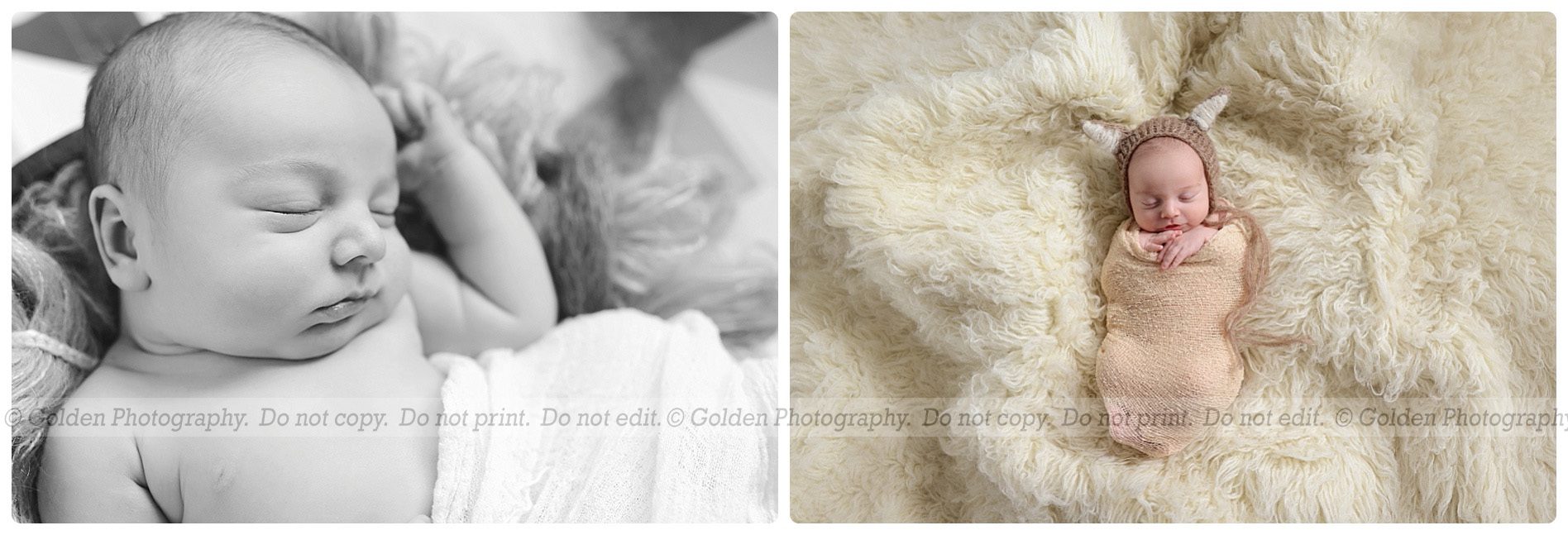 Lake Zurich best newborn photographer