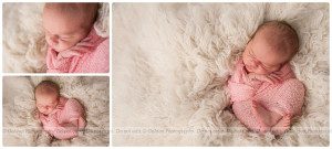 best newborn photographer Barrington, IL