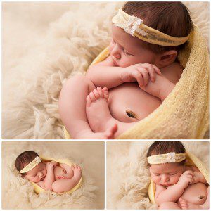 Golden Photography Lake Zurich IL