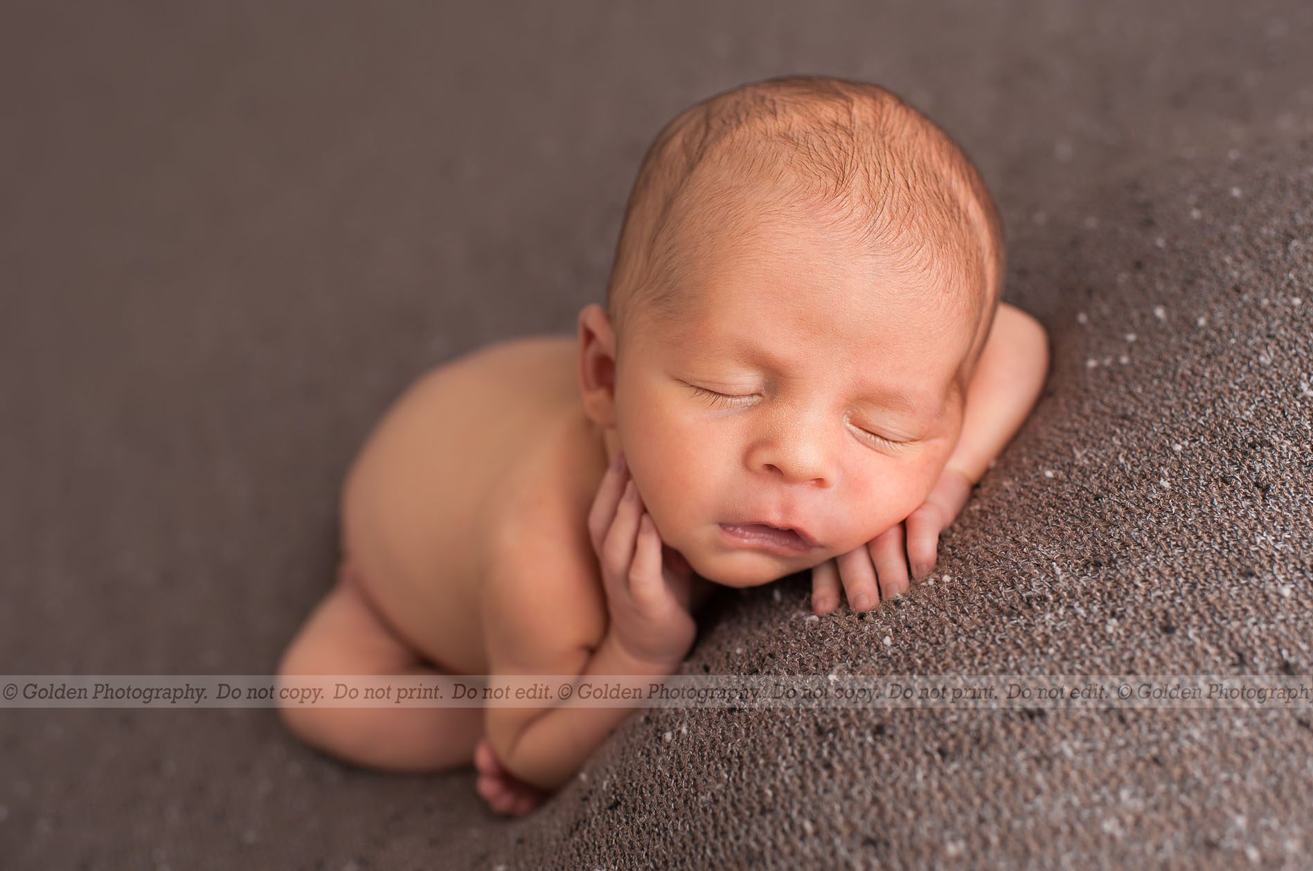 best newborn photographer Chicago