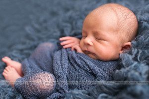 newborn photorgrapher Winnetka IL
