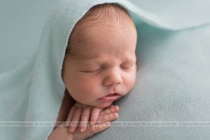 Kildeer IL newborn photogrpher