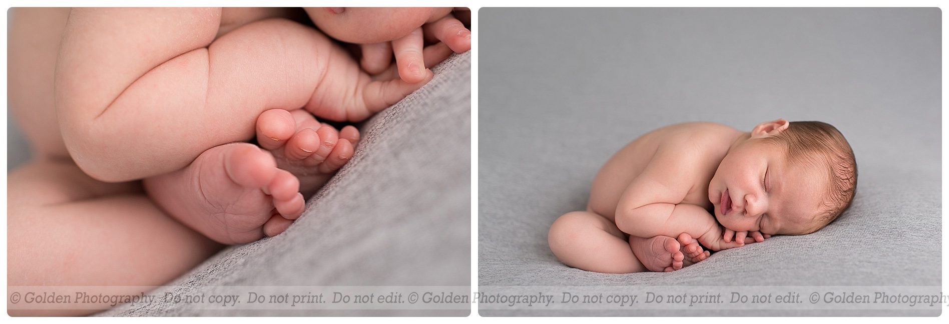 Stacy Golden Photography Illinois