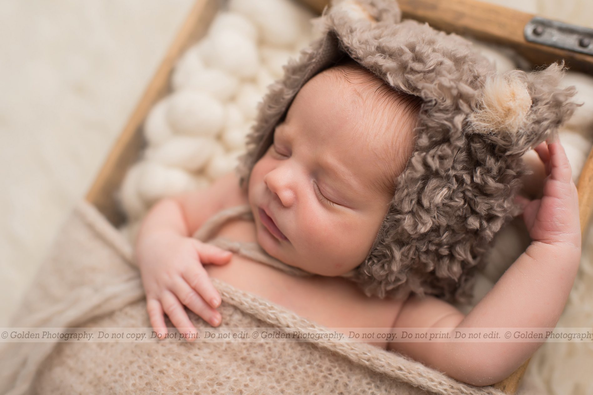 Vernon Hills newborn photographer