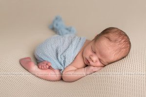 best newborn photographer Chicago suburbs