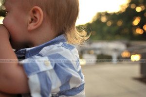 family photographer 60047