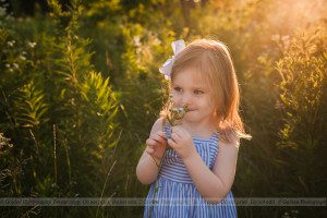 Golden Photography Lake Zurich IL