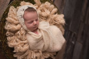 Hawthorn Woods baby photographer