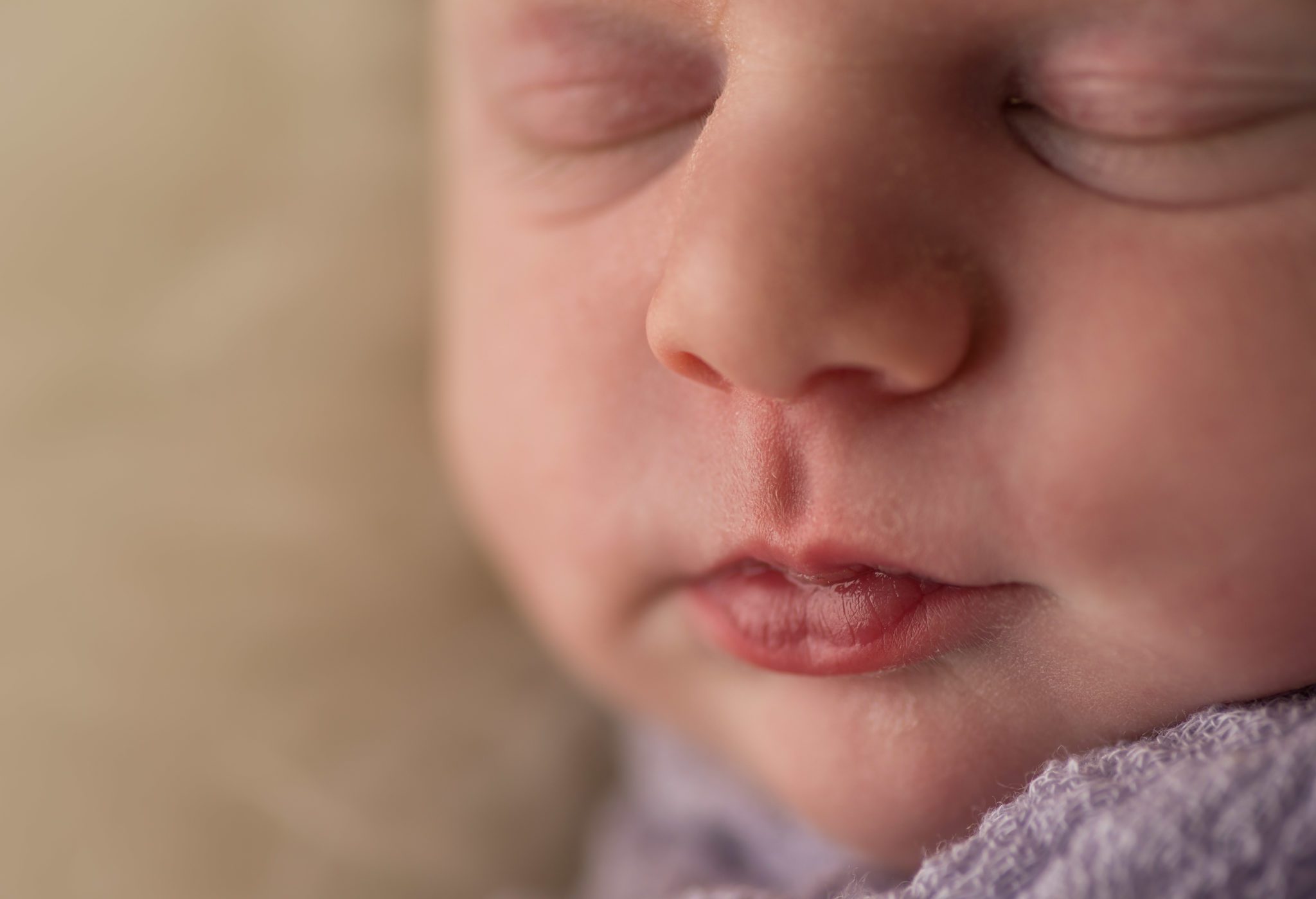 Lake County IL baby photographer