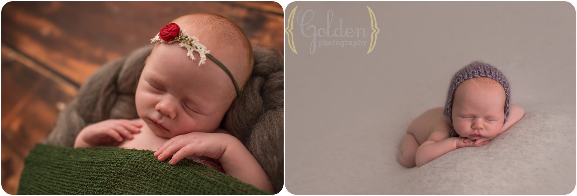 Golden Photography Lake Zurich IL