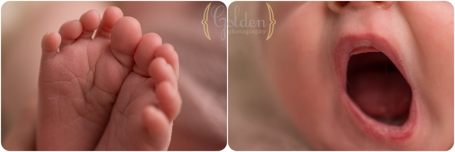 newborn baby photographer Lake Zurich IL