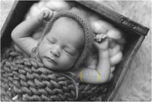 Lake county newborn photographer copy
