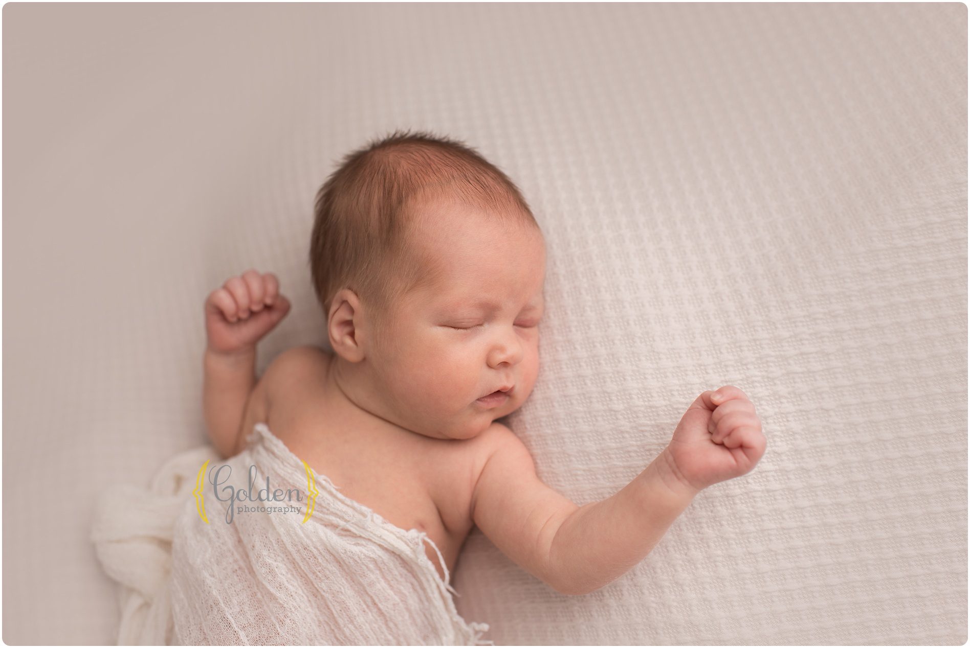 best newborn photographer Chicago IL
