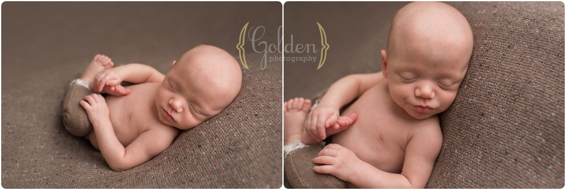 Barrington IL newborn photographer