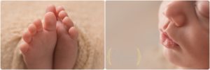 newborn photographer Chicago IL