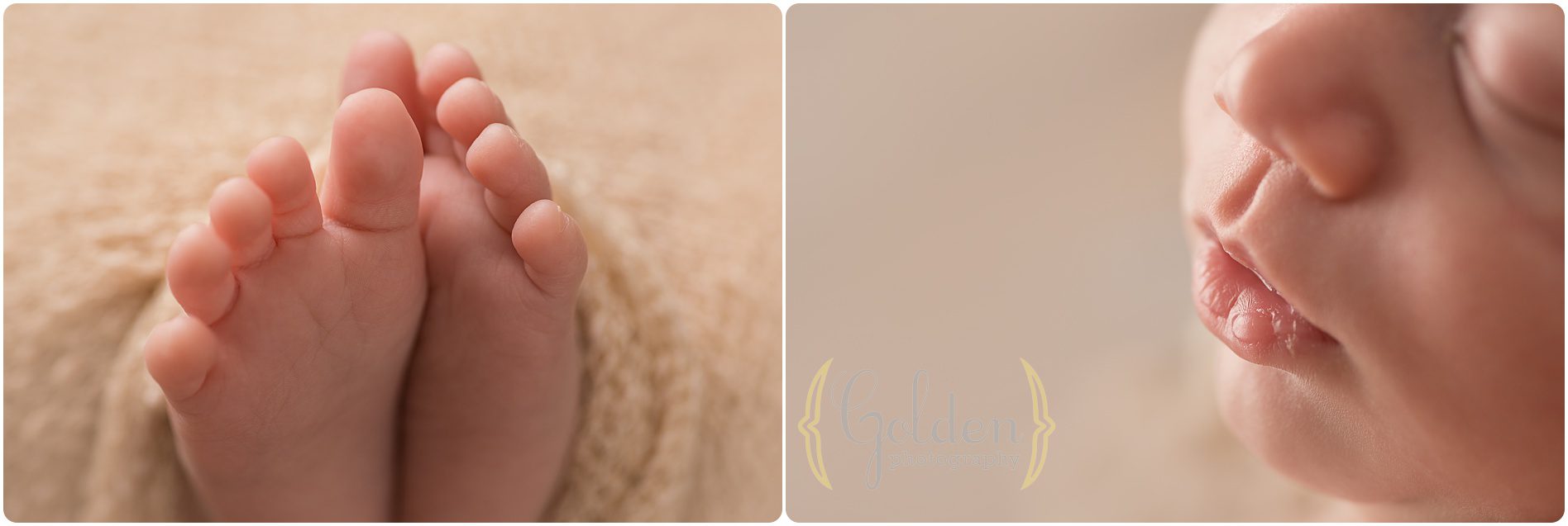 newborn photographer Chicago IL