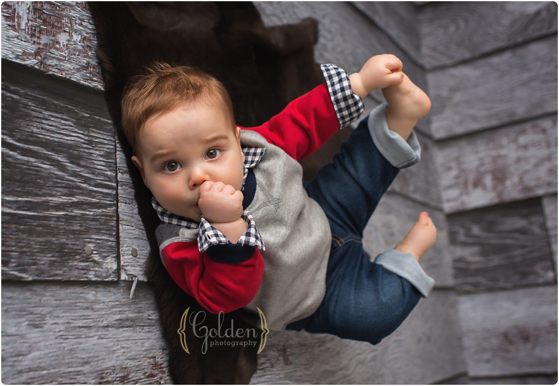 Baby photographer Lake County IL