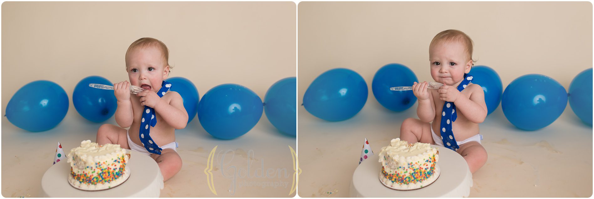 first birthday photo session Lake County IL