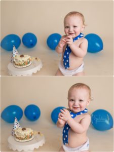 first birthday photographer Chicago