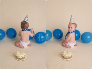 First birthday photographer Palatine IL