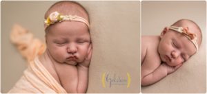 Barrington IL baby photographer