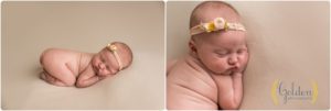 Lake County IL newborn photographer