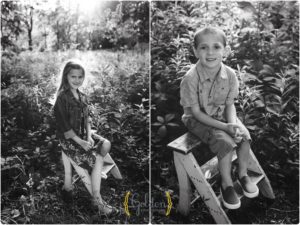 family photographer Deer Park IL