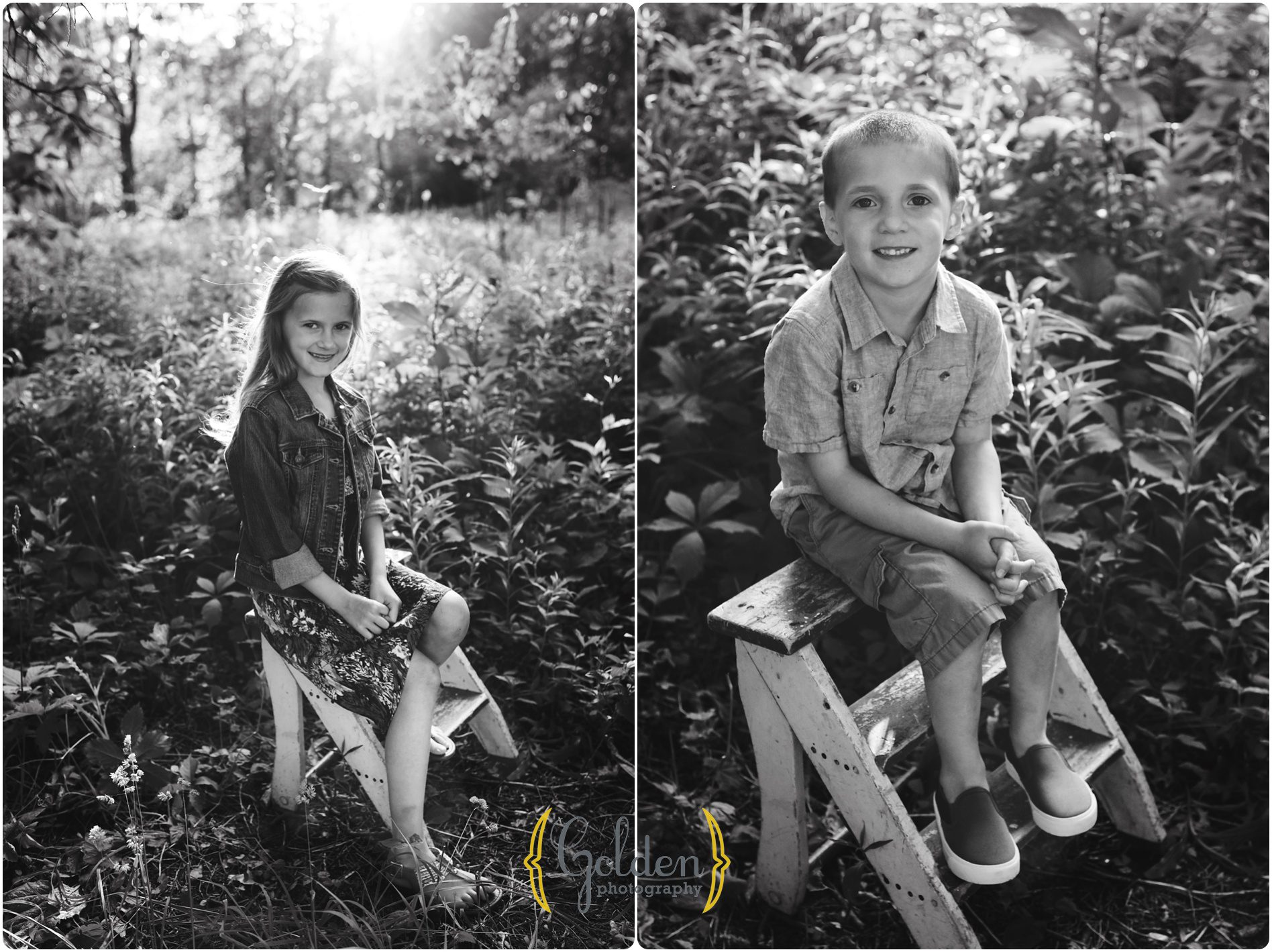 family photographer Deer Park IL