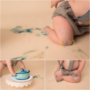 Chicago IL cake smash photographer