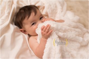 6 month old photographs Chicago IL